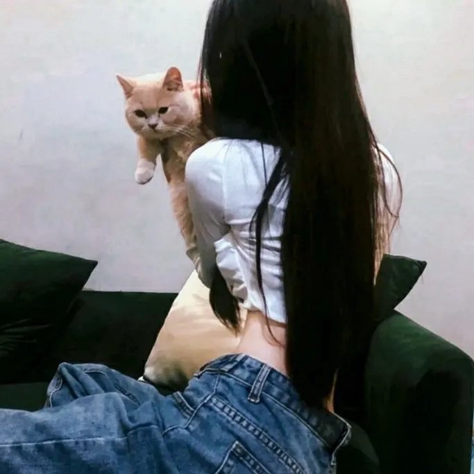 我为车狂